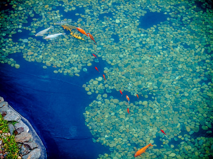 Санаторий «Заря», Кисловодск. Территория